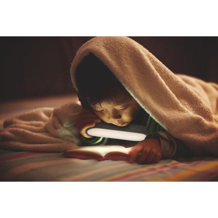 Ledvance - LED Iluminación de muebles con sensor MOBILE LED/1,2W/5V 500 mAh 4000K