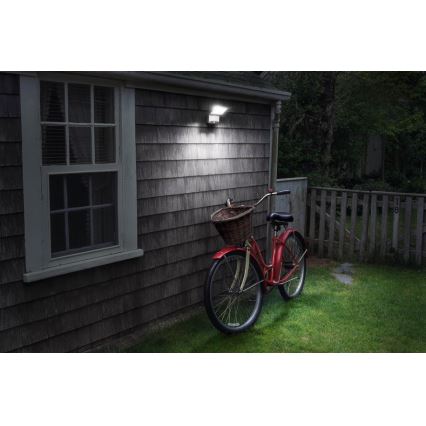 Ledvance - LED Proyector de pared para exteriores con sensor SPOTLIGHT LED/4W/4xD IP54