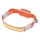 Ledvance - Linterna LED recargable FLASHLIGHT LED/3W/5V 1000 mAh