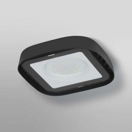 Ledvance - Plafón industrial LED HIGHBAY LED/80W/230V IP65 6500K