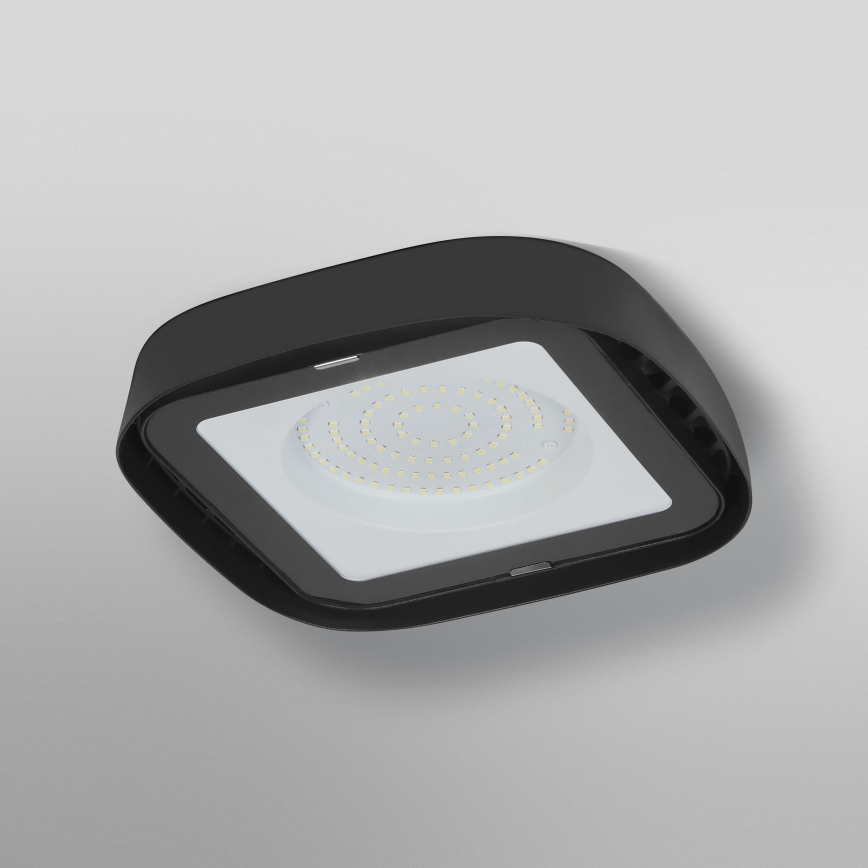 Ledvance - Plafón industrial LED HIGHBAY LED/80W/230V IP65 6500K