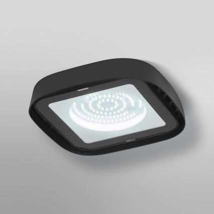 Ledvance - Plafón industrial LED HIGHBAY LED/80W/230V IP65 6500K