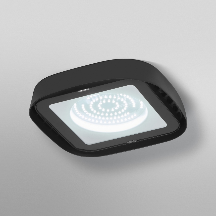 Ledvance - Plafón industrial LED HIGHBAY LED/80W/230V IP65 6500K