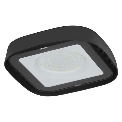 Ledvance - Plafón industrial LED HIGHBAY LED/80W/230V IP65 6500K