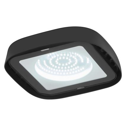 Ledvance - Plafón industrial LED HIGHBAY LED/80W/230V IP65 6500K