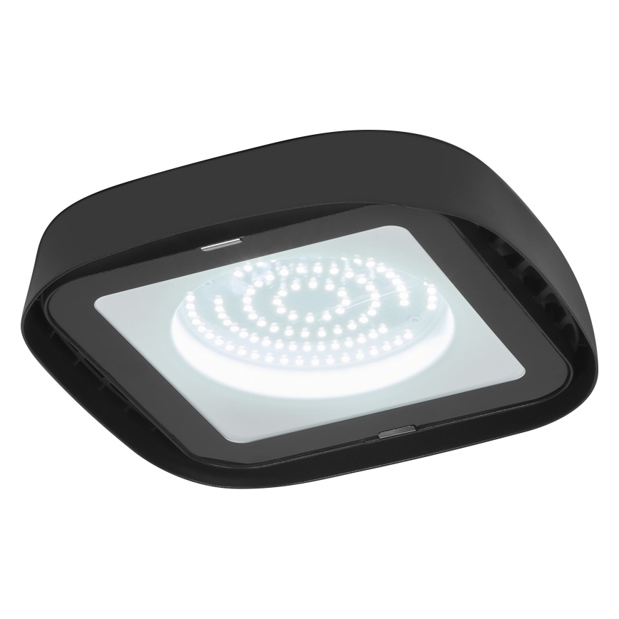 Ledvance - Plafón industrial LED HIGHBAY LED/80W/230V IP65 6500K