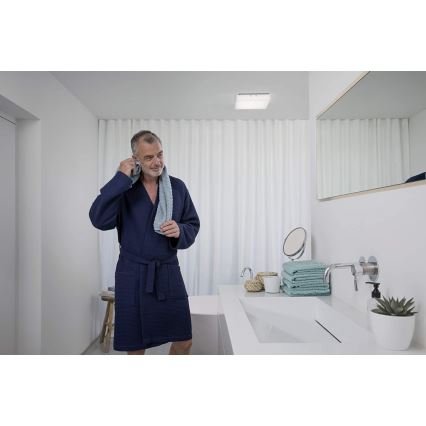 Ledvance - Plafón LED LUNIVE LED/19W/230V