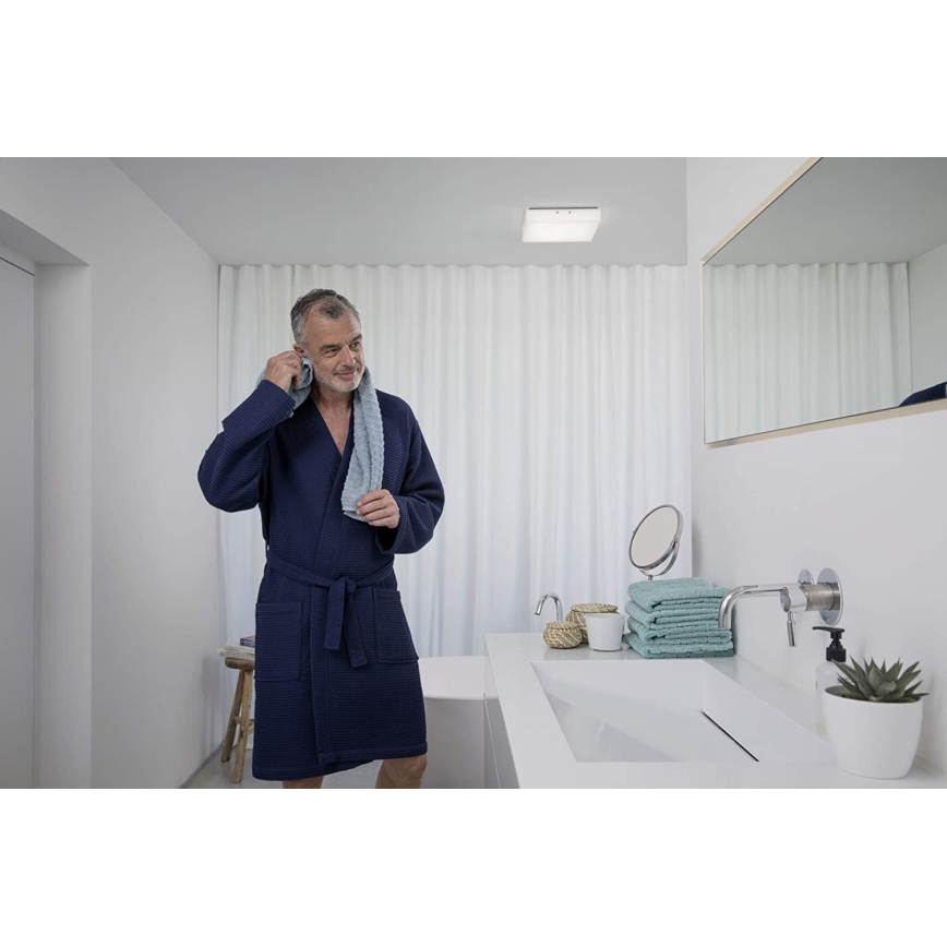 Ledvance - Plafón LED LUNIVE LED/19W/230V