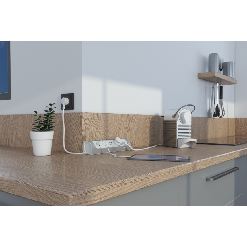 Legrand 049406 - Cable de extensión 3 enchufes Tipo E + USB-A + USB-C 1 m plateado/blanco