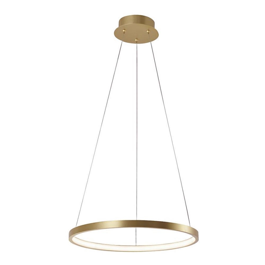 Leuchten Direkt 11522-12 - Araña LED colgante CIRCLE LED/19W/230V