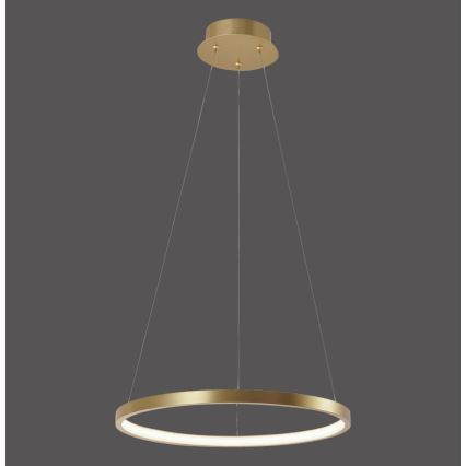 Leuchten Direkt 11522-12 - Araña LED colgante CIRCLE LED/19W/230V