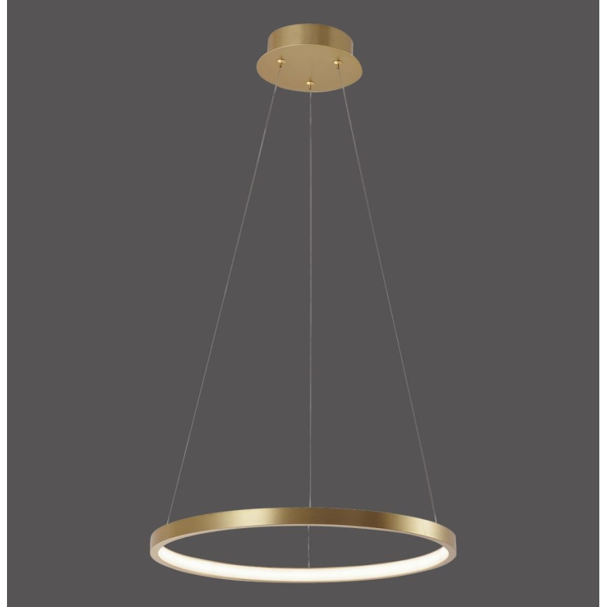 Leuchten Direkt 11522-12 - Araña LED colgante CIRCLE LED/19W/230V