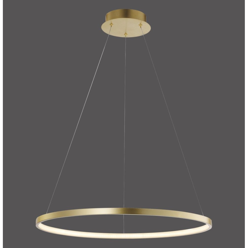 Leuchten Direkt 11524-12 - LED Lámpara colgante CIRCLE LED/28,5W/230V