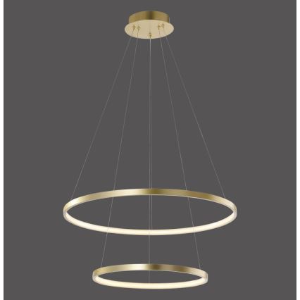 Leuchten Direkt 11525-12 - LED Lámpara colgante CIRCLE 1xLED/18,5W/230V + LED/23,5W
