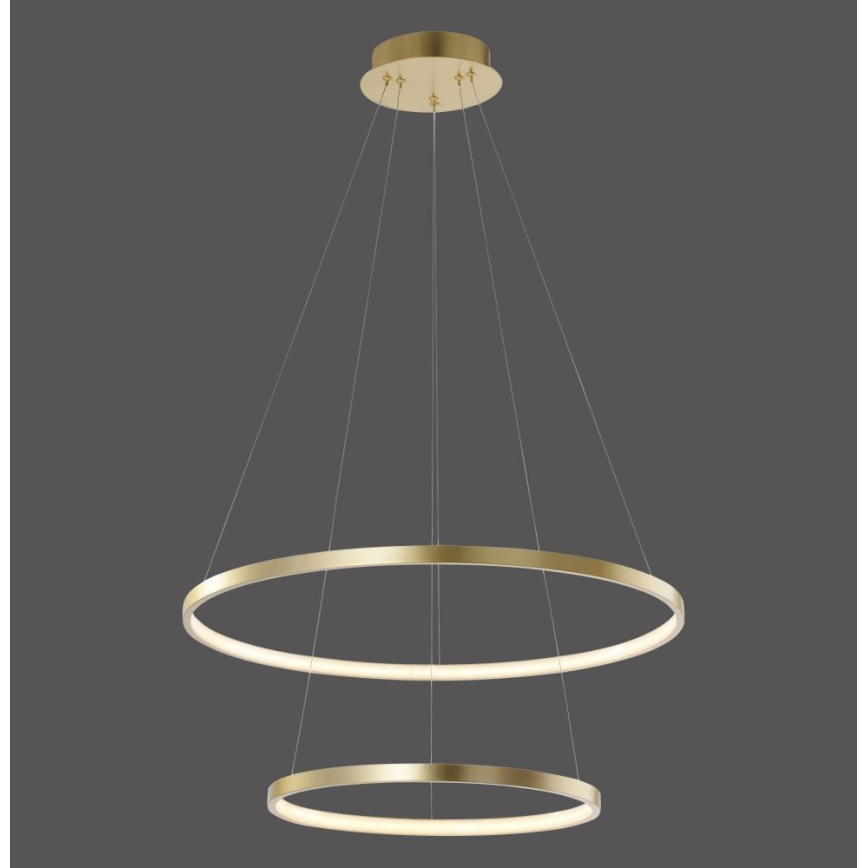 Leuchten Direkt 11525-12 - LED Lámpara colgante CIRCLE 1xLED/18,5W/230V + LED/23,5W