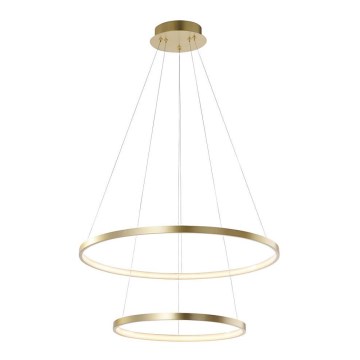 Leuchten Direkt 11525-12 - LED Lámpara colgante CIRCLE LED/18,5W/230V + LED/23,5W