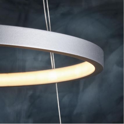Leuchten Direkt 11525-21 - Araña LED colgante CIRCLE 1xLED/15W/230V + LED/25W