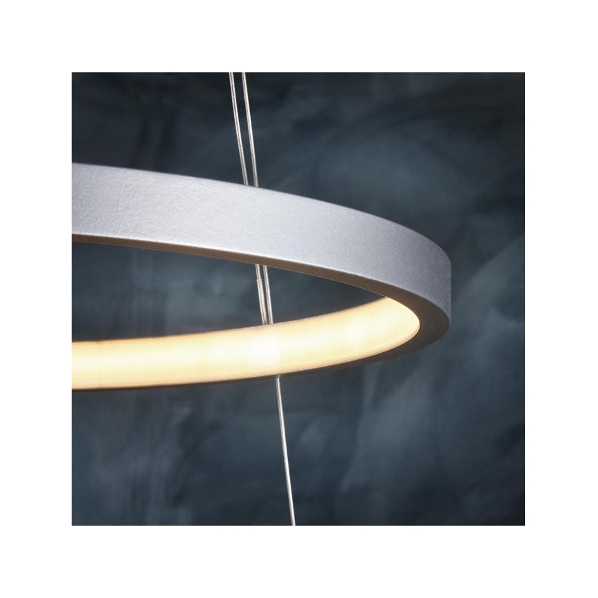 Leuchten Direkt 11525-21 - Araña LED colgante CIRCLE 1xLED/15W/230V + LED/25W