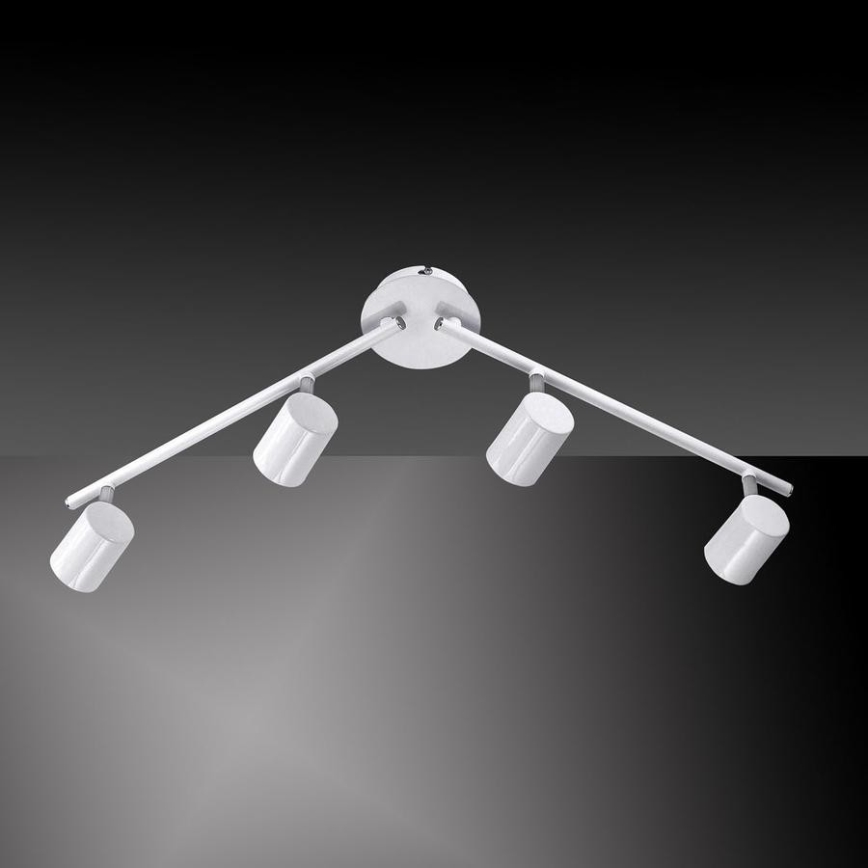 Leuchten Direkt 11944-16 - Foco LED TARIK 4xGU10/5W/230V blanco