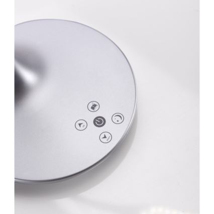 Leuchten Direkt 13061-21 - Lámpara de mesa táctil LED regulable RAFAEL LED/5W/230V 2700-6000K plata