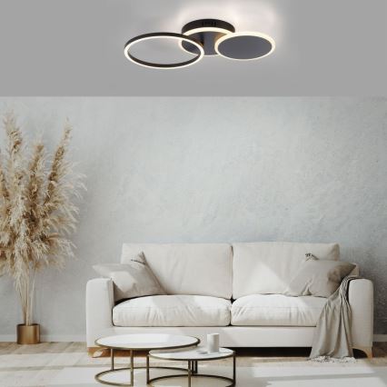 Leuchten Direkt 14116-18 - Plafón LED SEVENT LED/25,5W/230V negro