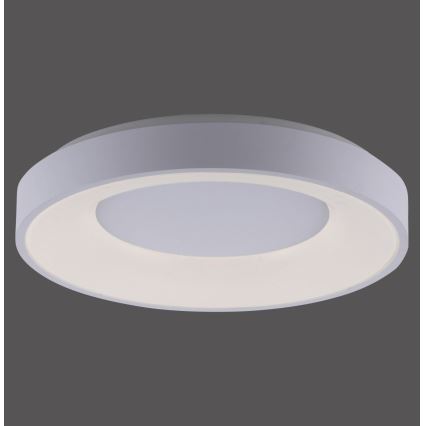 Leuchten Direkt 14326-16 - LED Plafón regulable ANIKA LED/30W/230V + control remoto