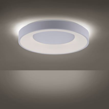 Leuchten Direkt 14326-16 - LED Plafón regulable ANIKA LED/30W/230V + control remoto