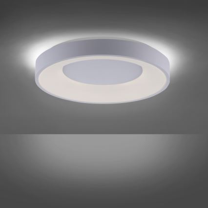 Leuchten Direkt 14326-16 - LED Plafón regulable ANIKA LED/30W/230V + control remoto