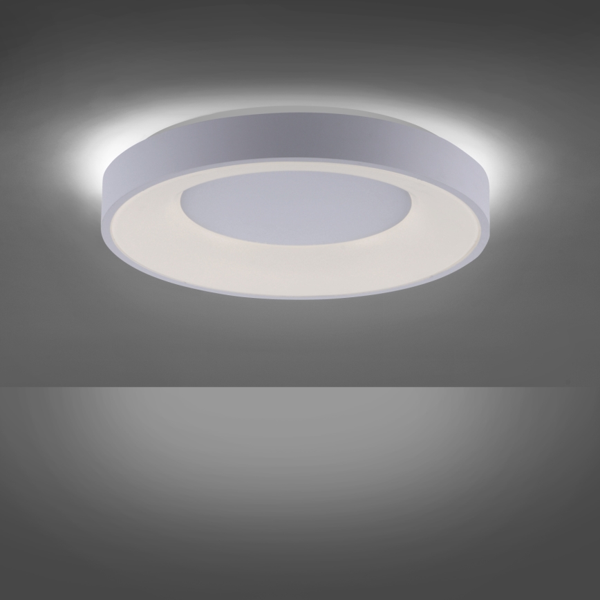 Leuchten Direkt 14326-16 - LED Plafón regulable ANIKA LED/30W/230V + control remoto
