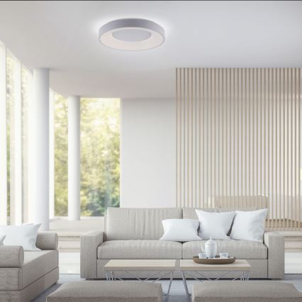 Leuchten Direkt 14326-16 - LED Plafón regulable ANIKA LED/30W/230V + control remoto