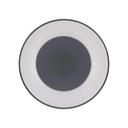 Leuchten Direkt 14326-18 - Lámpara de techo regulable LED ANIKA LED/30W/230V + Mando a distancia