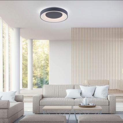 Leuchten Direkt 14346-18 -LED RGB Plafón regulable ANIKA LED/26,5W/230V Tuya 2700-5000K + mando a distancia