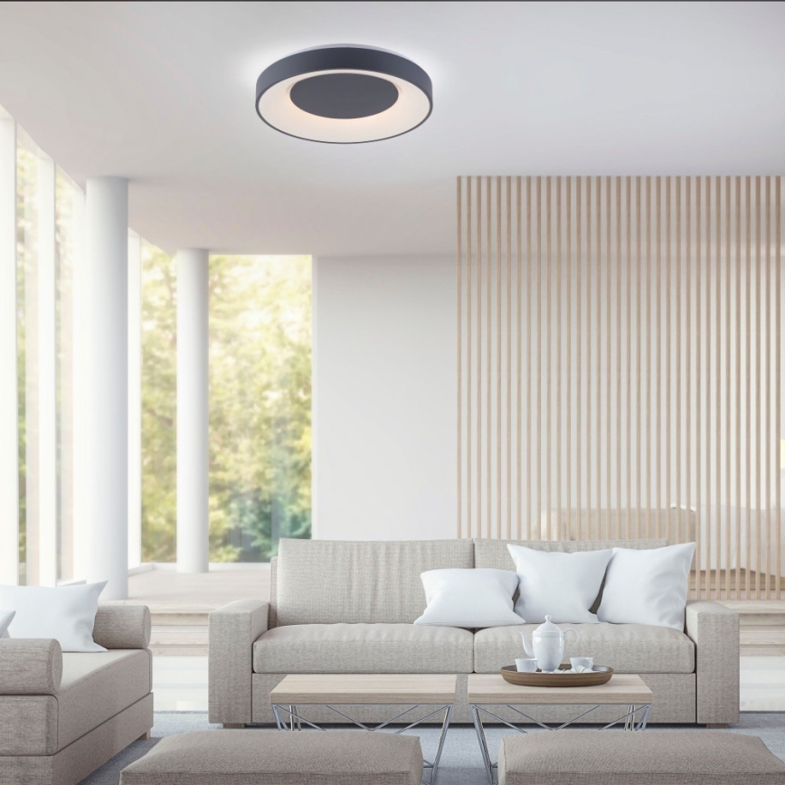 Leuchten Direkt 14346-18 -LED RGB Plafón regulable ANIKA LED/26,5W/230V Tuya 2700-5000K + mando a distancia