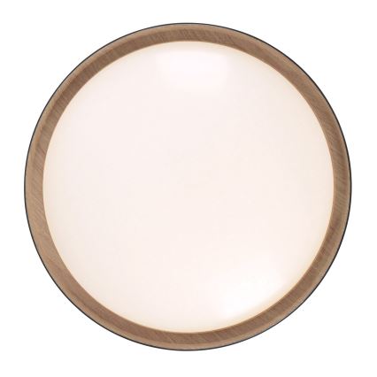 Leuchten Direkt 1434718 - Plafón LED regulable EMILIA 28,8W/230V negro