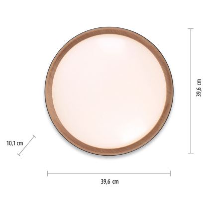 Leuchten Direkt 1434718 - Plafón LED regulable EMILIA 28,8W/230V negro