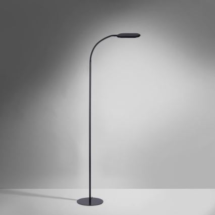 Leuchten Direkt 14406-18 - LED Regulable táctil Lámpara de pie KELLY LED/7W/230V 3000/4000/6000K
