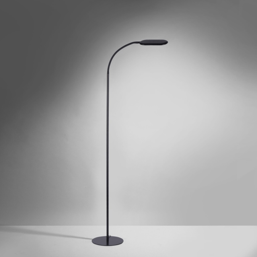 Leuchten Direkt 14406-18 - LED Regulable táctil Lámpara de pie KELLY LED/7W/230V 3000/4000/6000K