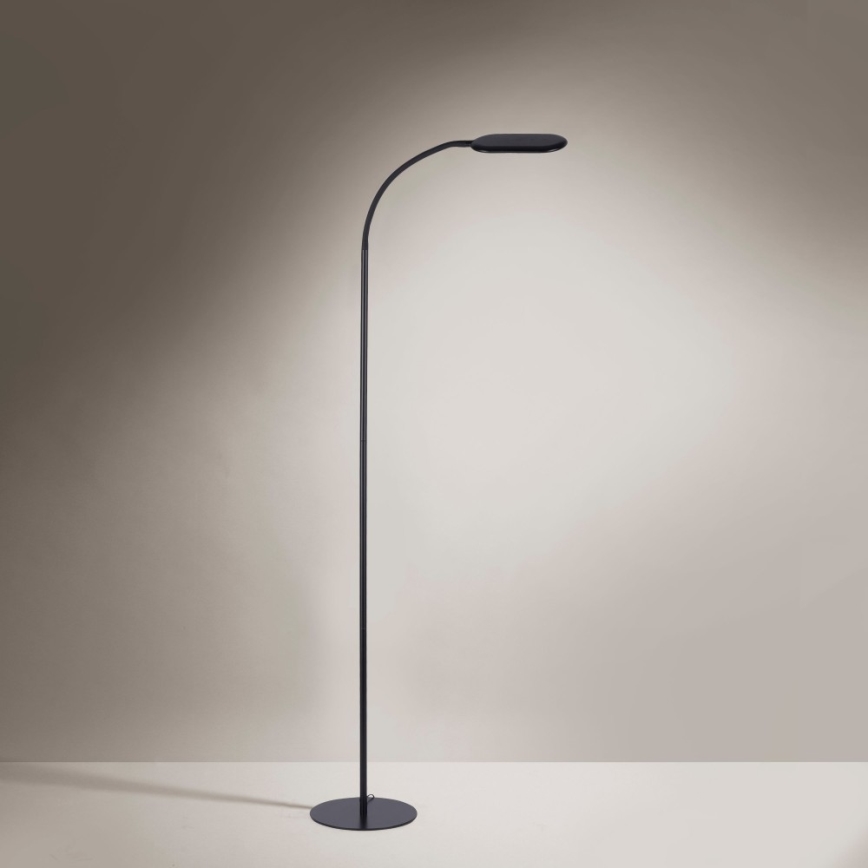 Leuchten Direkt 14406-18 - LED Regulable táctil Lámpara de pie KELLY LED/7W/230V 3000/4000/6000K