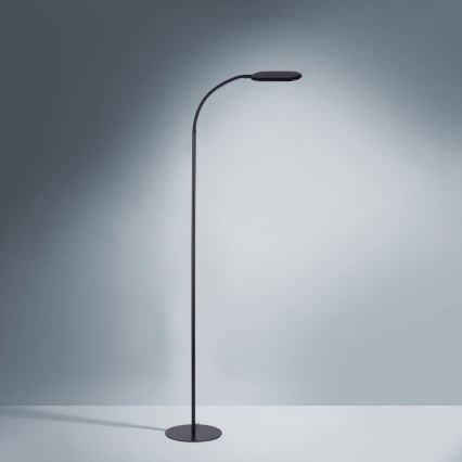 Leuchten Direkt 14406-18 - LED Regulable táctil Lámpara de pie KELLY LED/7W/230V 3000/4000/6000K