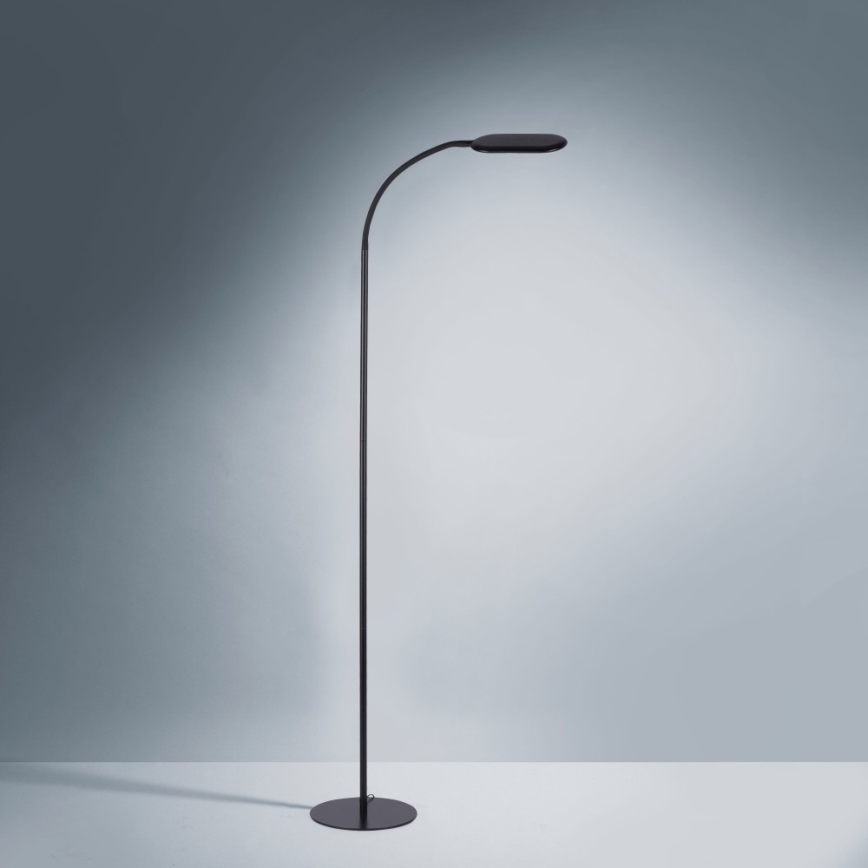 Leuchten Direkt 14406-18 - LED Regulable táctil Lámpara de pie KELLY LED/7W/230V 3000/4000/6000K