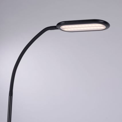 Leuchten Direkt 14406-18 - LED Regulable táctil Lámpara de pie KELLY LED/7W/230V 3000/4000/6000K