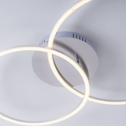 Leuchten Direkt 14537-55 - LED Plafón regulable IVANKA LED/14W/230V + LED/12W