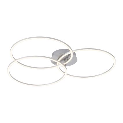 Leuchten Direkt 14539-55 - LED Plafón regulable IVANKA 3xLED/12W/230V
