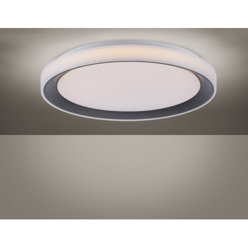 Leuchten Direkt 14659-18 - LED RGB Plafón regulable LOLA LED/24W/230V Tuya + control remoto