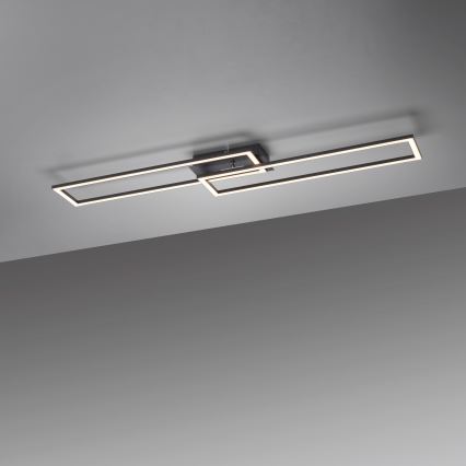 Leuchten Direkt 14691-18 - Lámpara de techo LED regulable IVEN LED/36W/230V