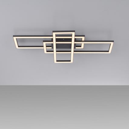 Leuchten Direkt 14697-18 - Plafón LED regulable IVEN LED/24W/230V