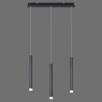 Leuchten Direkt 15203-18 - Lámpara LED colgante 3xLED/4,8W/230V negro