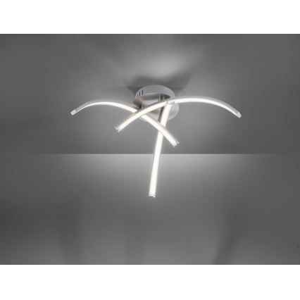 Leuchten Direkt 15341-55 - Lámpara de techo LED VALERIE 3xLED/3,7W/230V
