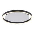 Leuchten Direkt 15391-13 - Lámpara de techo LED regulable RITUS LED/20W/230V negro
