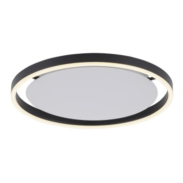Leuchten Direkt 15391-13 - Lámpara de techo LED regulable RITUS LED/20W/230V negro